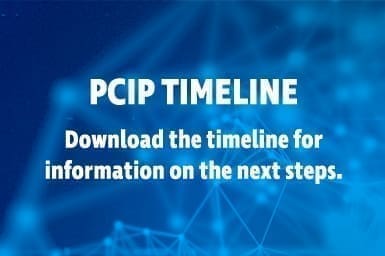 Timeline Download button