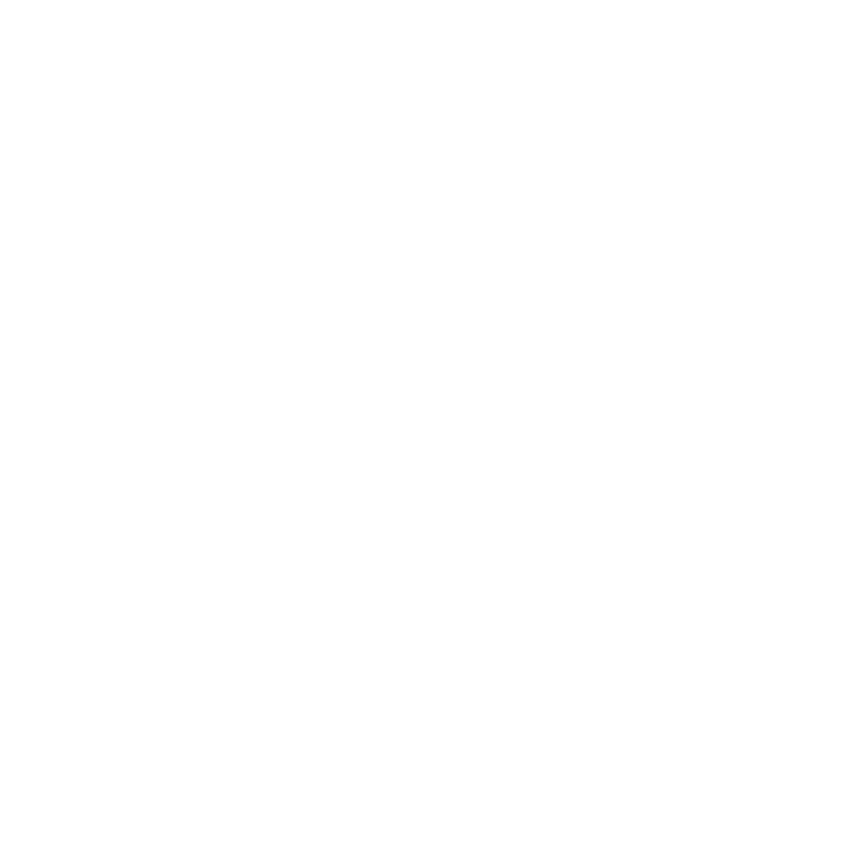 Seal of US Air Force