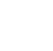 Seal of US Air Force