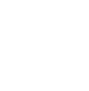 Seal of US Air Force